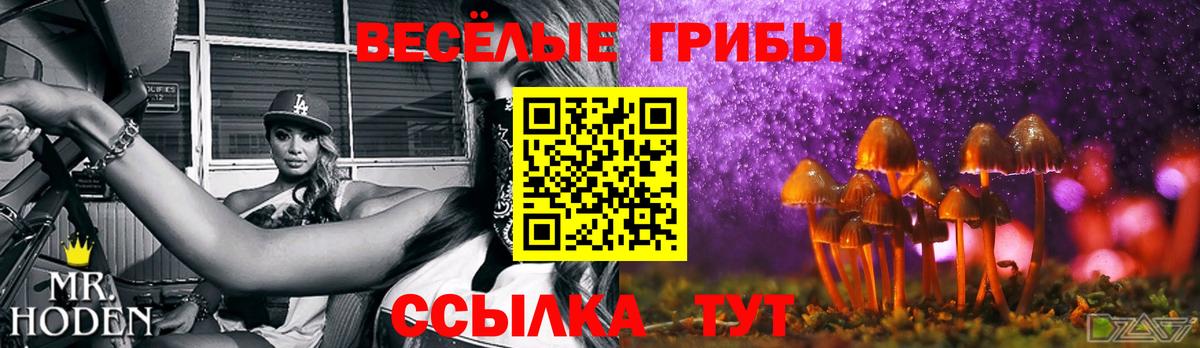 Рыбинск  Галлюциногенные грибы Psilocybe  Вход с VPN  Галлюциногенные грибы Psilocybine cubensis 
